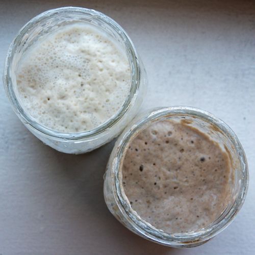 Kimchi pancakes sourdough starter