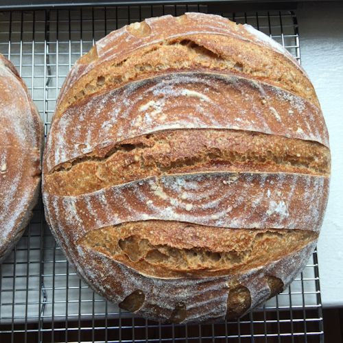 Sourdough bread cooling