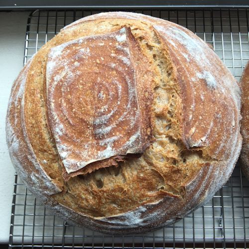 Sourdough bread cooling